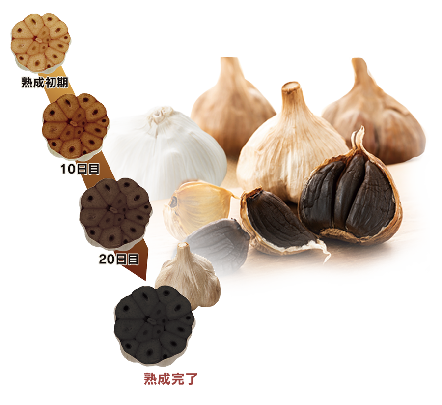 黒にんにくサプリ まさゆきの株式会社の熟成黒にんにくペースト