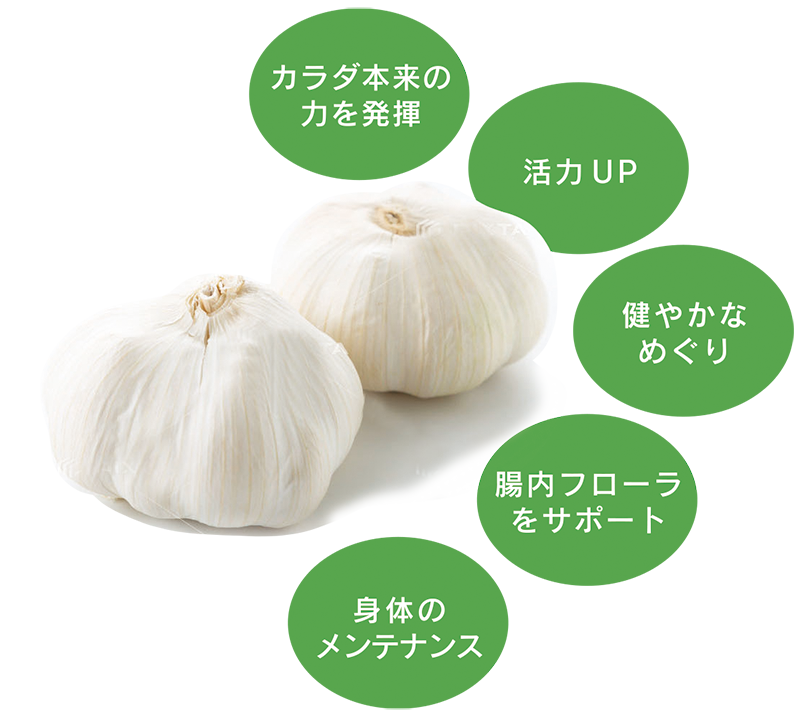 黒にんにくサプリ まさゆきの株式会社の熟成黒にんにくペースト